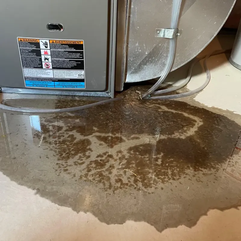 Appliance Leak Cleanup in Claremont, CA